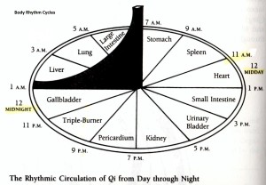 The Body Rhythm Cycle has a schedule for cleansing and repair.