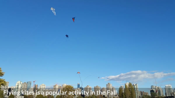 Kites flying in Vanier Park Vancouver