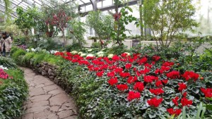 Allan Gardens 4