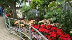 Allan Gardens 5