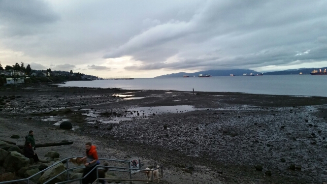 Grey-day-low-tide-water