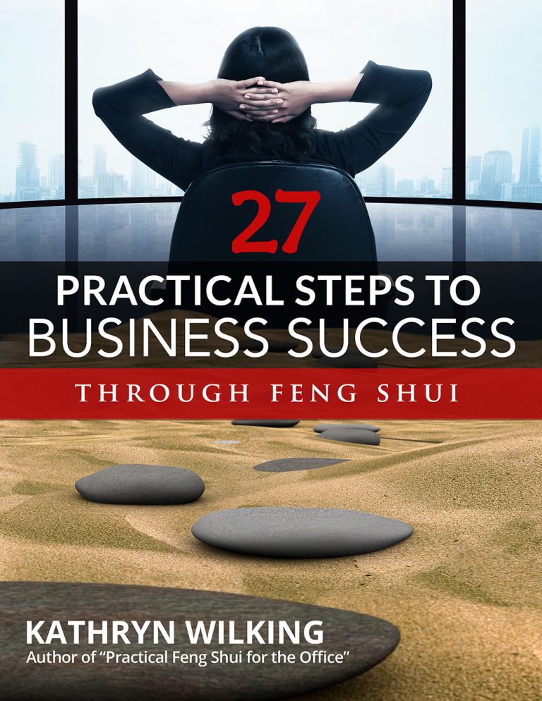 27-Practical-steps-book-cover