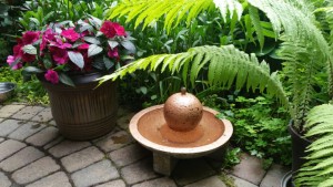 I moved a small fountain into my front garden and the chickadee’s lined up for a drink!