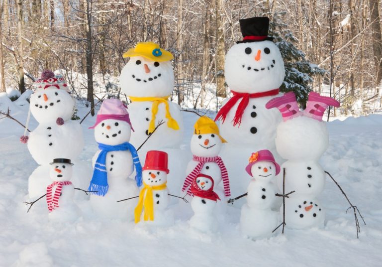 snowman-family-picture-id536094365