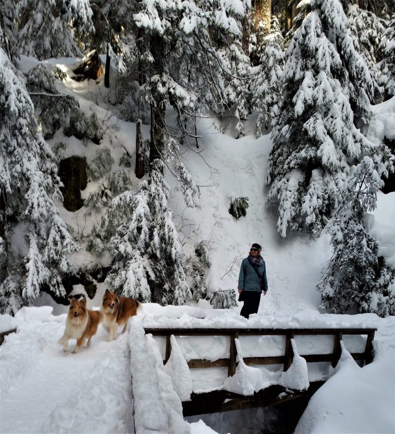 Kath-and-pups-in-the-snow-...greeting-for-Jan