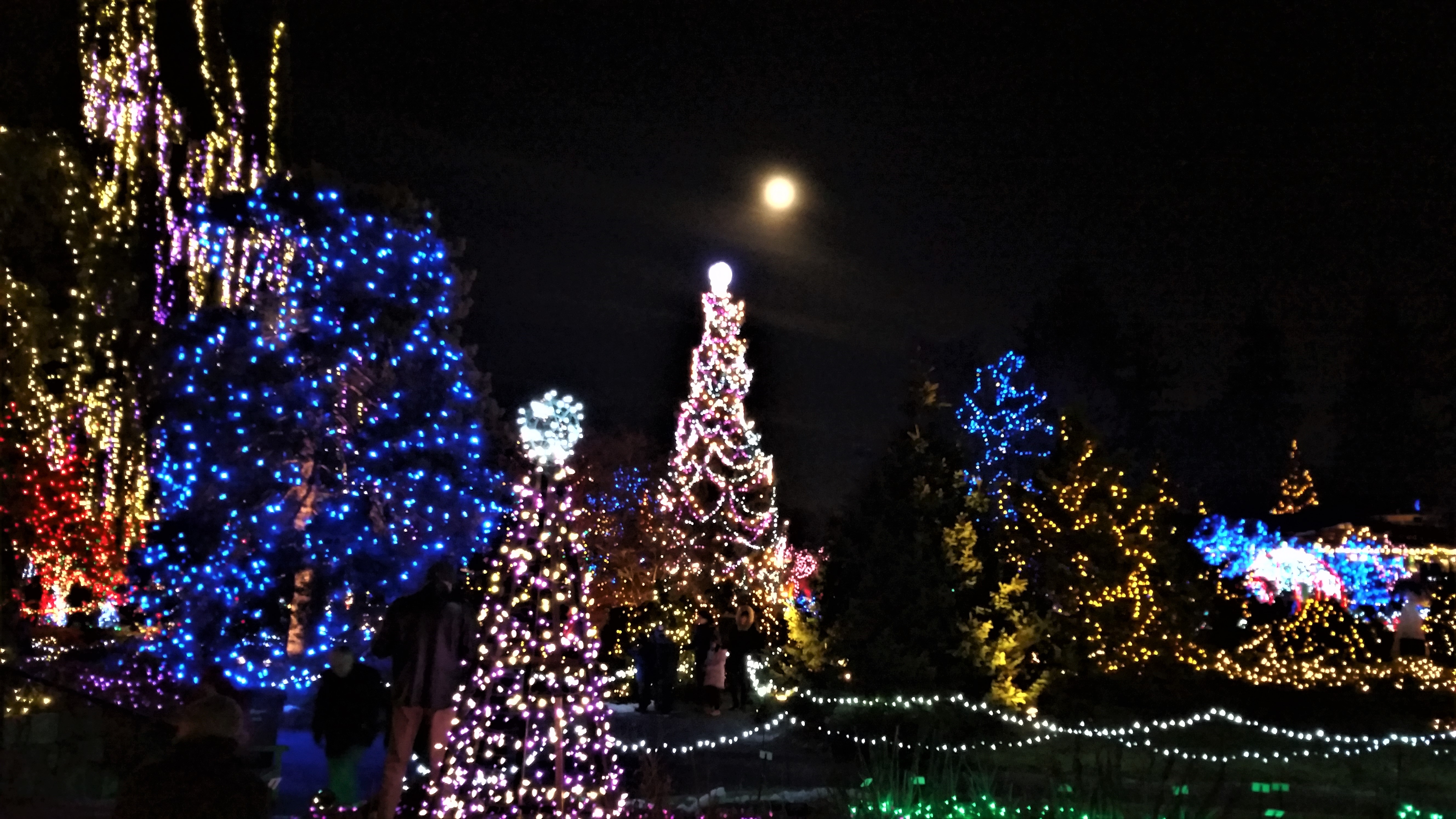 Be Seen, For the Holidays!