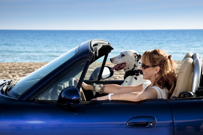 Mature woman driving an sports car with her dog
