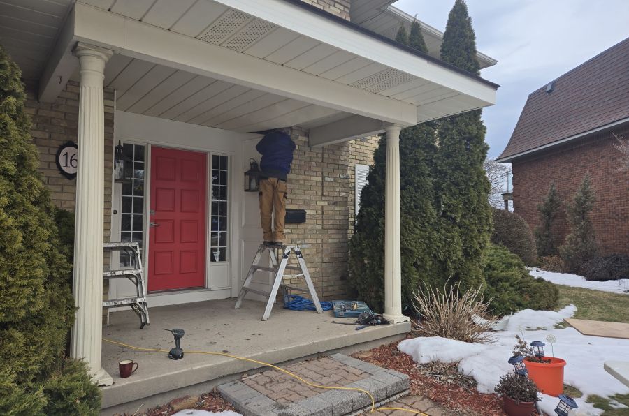 Saving the Wasps