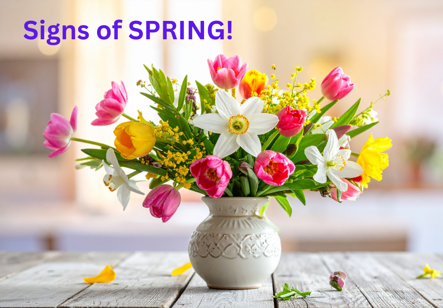 The Smell of SPRING! 
