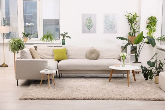 feng-shui-blog-and-tips